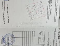 Цитрусовый сов 24 сотки. 