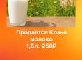 Продается КОЗЬЕ МОЛОКО. СЫР