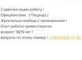Ищем работу Официантом 