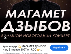 2 Билета Магомета Дзыбова 