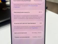 iPhone 16 Pro 