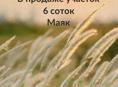 МАЯК,6 СОТОК