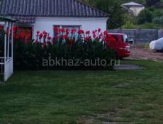 Ищу отдельный дом под присмотр.