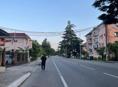 Корова много