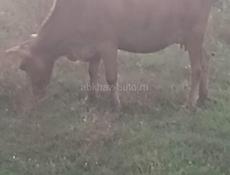 Продаю 