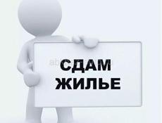 На долгий срок 