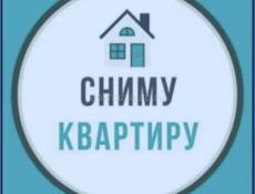 Семья 5 человек снимет квартиру длительно