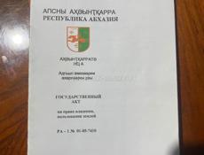 Алахадзе продажа 