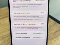 iPhone 15 Pro Max