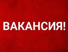 Горничная в домики