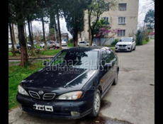 Nissan Primera