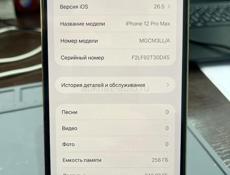 iPhone 12 Pro Max