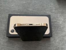 iPhone 13 Pro Max 256