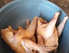 Вкусные куры