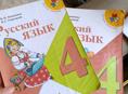 Школьные учебники 