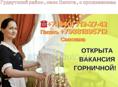 Нужна Горничная 