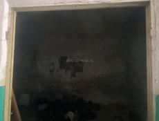 2 комнатная квартира в агудзере