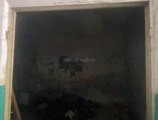За 700 тыщ двушка в Агудзерах