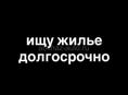 Сниму долгосрочно