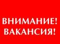Вакансия‼️