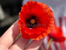 Куплю в рассрочку квартиру
