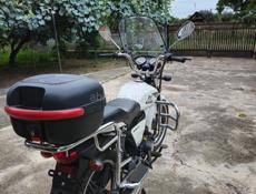 NF Motor