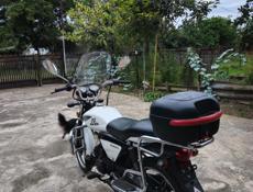 NF Motor