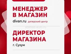 вакансия в Домино -  менеджер - консультант в салон мебели и директор магазина