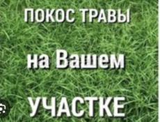 Покос травы 