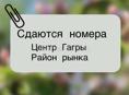 Сдам 