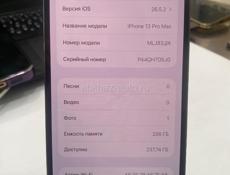 iPhone 13 Pro Max