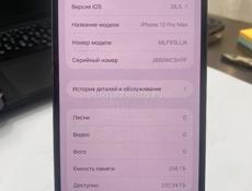 iPhone 13 Pro Max 