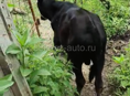 Продаю 