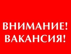Вакансия‼️