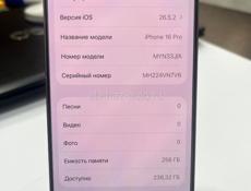 iPhone 16 Pro 