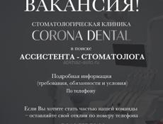 Ассистент стоматолога 