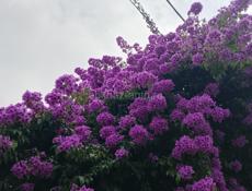 Ищу работу срочно посменно 