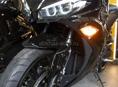 Buell