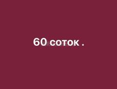60 соток