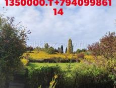 ПРОДАЁТСЯ УЧАСТОК ЗА 1 🍋 350 ТЫСЯЧ