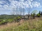 Сухум участок 50 соток