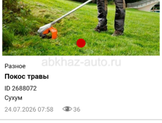 Косить +79409374546 +79407102009