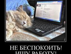 Срочно нужна работа 