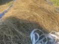 Продаётся СЕНО🌾(разнотравье) свежее!