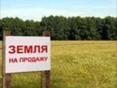 Бабушара