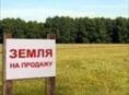 Бабушара