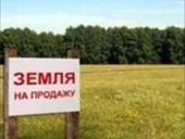 Бабушара