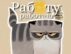 Ищу работу!
