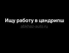 Ищу работу в цандрипш 