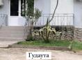 Сдается помещение в Гудауте в районе вокзала